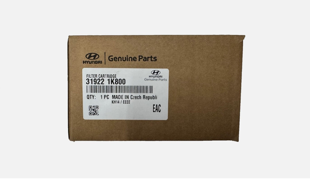Fuel Filter 319221K800