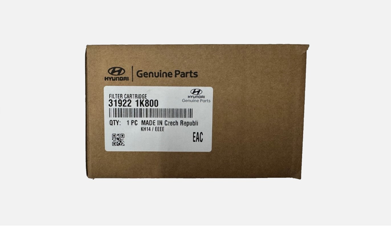 Fuel Filter 319221K800