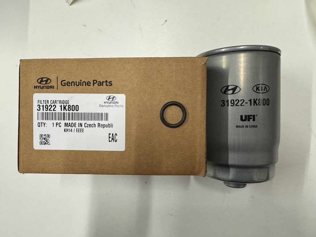 Fuel Filter 319221K800
