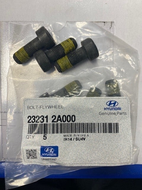 Hyundai Tucson Solid Flywheel & Bolts 232002A810
