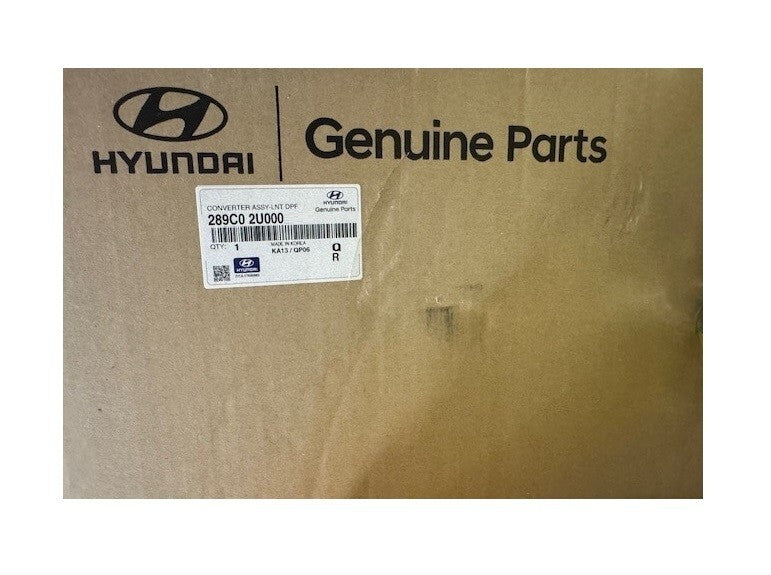Hyundai Kia DPF 289C02U000